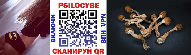 ОМГ ОМГ цены Армянск Галлюциногенные грибы Cubensis
